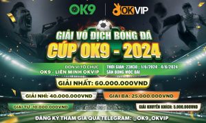 OKVIP Hỗ Trợ Giải Vô Địch Bóng Đá Sân 7 Cúp OK9